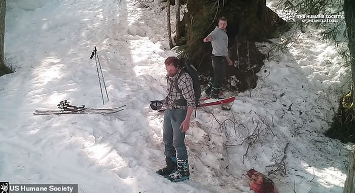 ������ħ�����ڰ���˹�Ӳ�����ɱ���ߺ���ĸ�� ��մ��Ѫˮ���ֻ���