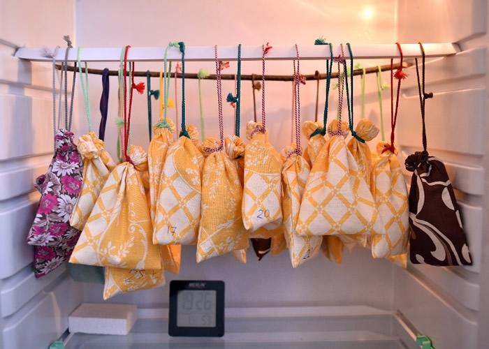 白俄罗斯首都明斯克保育中心将冬眠蝙蝠放冰箱 春回大地后再放回野外