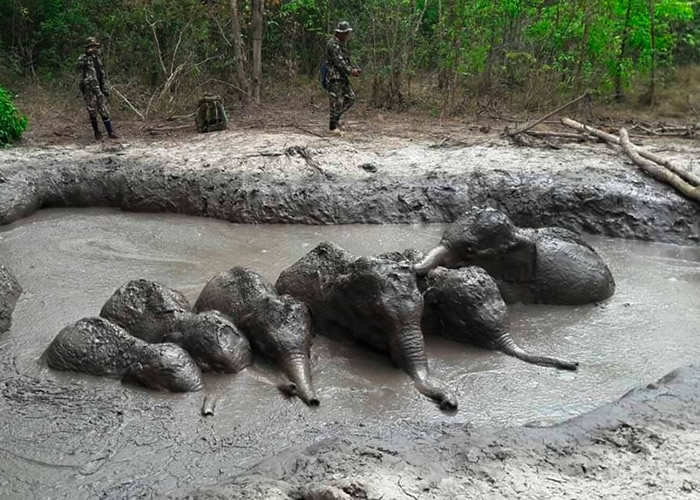 ̩߷6ֻСҹ԰ ѲԱ5Сʱ