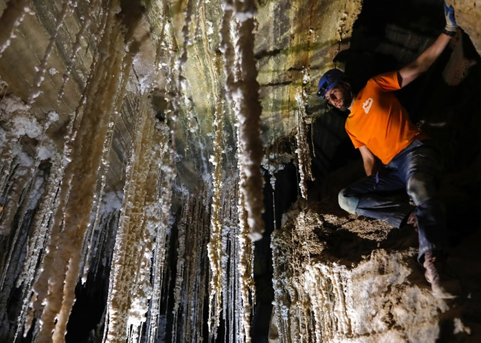 洞内布满盐钟乳石。