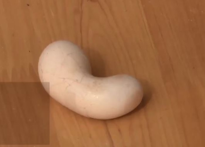 ��������ԼҼ������һ���������ǻ����Ļ��ε���