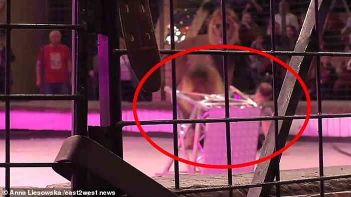 埃及驯兽师Hamada Kouta在乌克兰公开表演时被马戏团公狮子狠咬