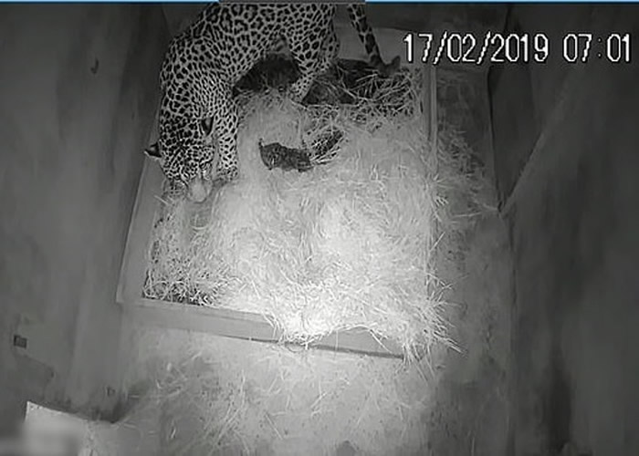 �Ȱ�����ʱ���չ˺��ӣ�֮���Ӿʹ�������ʧ��