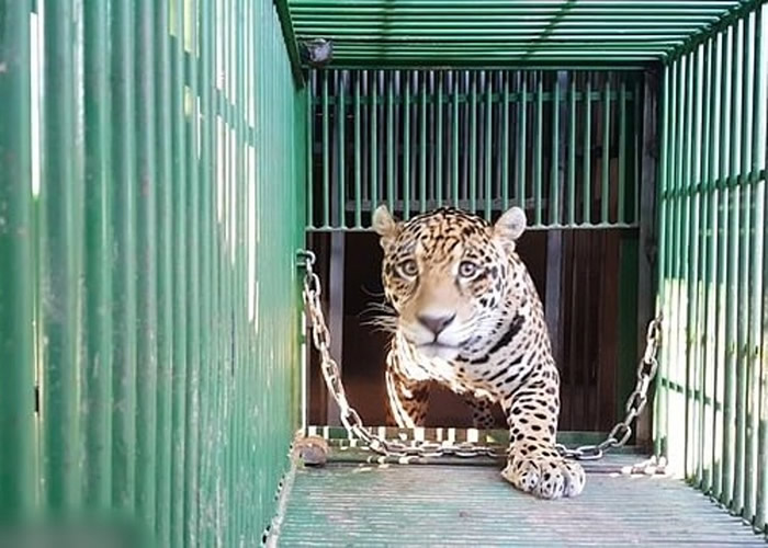 �Ȱ���ȥ�껳�С�