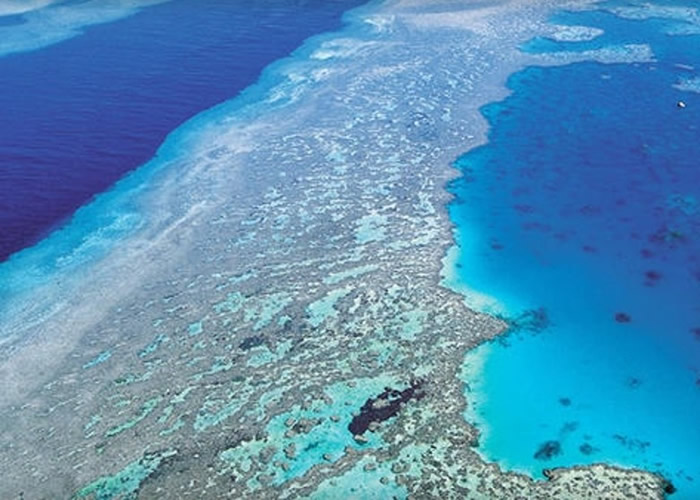大堡礁是澳洲旅游胜地。