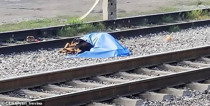 ī���������������Ӻ�������ײ�� ��Ȯ�������԰�ʬ�����˿���