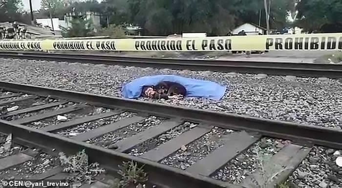 ī���������������Ӻ�������ײ�� ��Ȯ�������԰�ʬ�����˿���