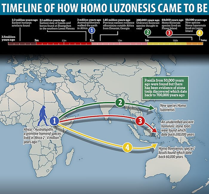 菲律宾吕宋岛卡劳洞穴发现数万年前全新人种“吕宋人”(Homo luzonensis)化石