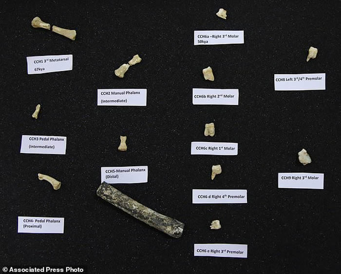 ���ɱ����ε�����ȫ�¹��������֡������ˡ���Homo luzonensis��