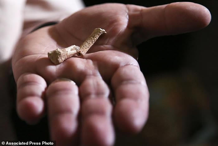 ���ɱ����ε�����ȫ�¹��������֡������ˡ���Homo luzonensis��