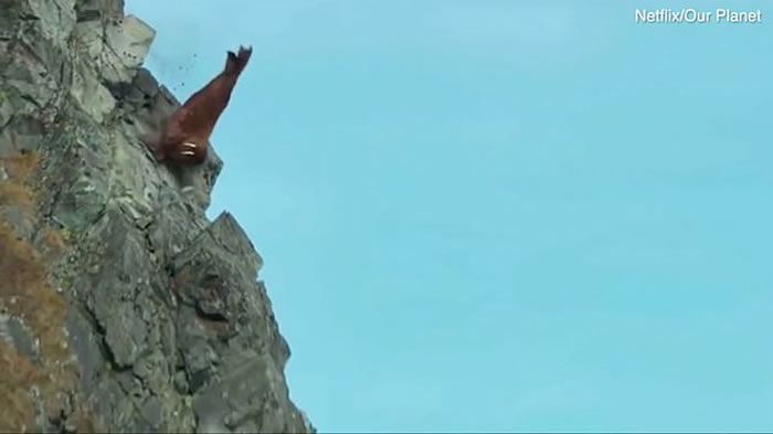 Netflix¼ƬǵʹһĻֻӶ͵ϵ