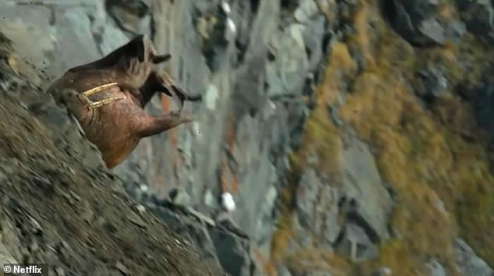 Netflix¼ƬǵʹһĻֻӶ͵ϵ