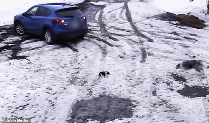 Ŀ��Ů���˵�����շ�м����� ���ô�߾�����Ȯ˲�����Ⱥ���