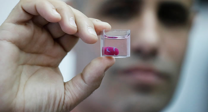 以色列特拉维夫大学科学家首次在世界上以3D格式打印出由人体组织做成的活心脏