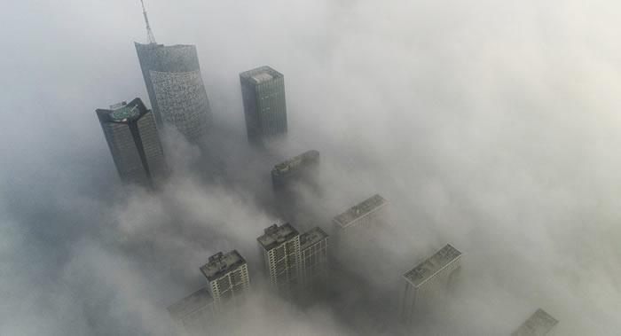 ��������Ipsos������������Ϊ�ε��ǡ����鱨�棺�й�����Ļ�����в��ҽ����������