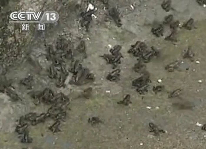 ���ջ�ɽ��С���ⳬ����ֻ���ĵ���ܾ��ӽ���