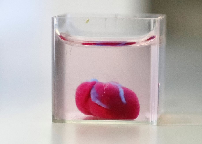 以色列科学家打印出全球首个包含人体组织和血管的人工心脏。