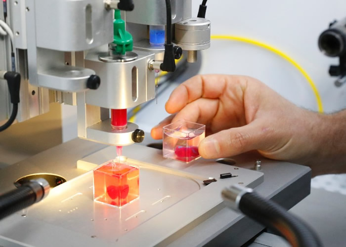 研究人员从人体身上抽取脂肪组织打印人工心脏。