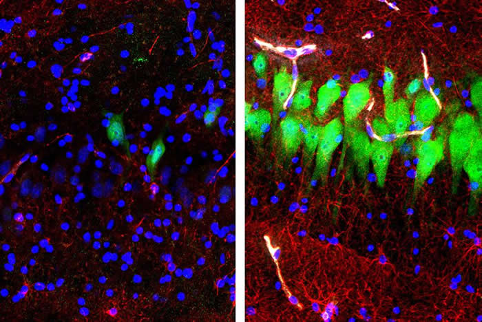 ����Ү³��ѧ��ѧ�ҳɹ����������4Сʱ��������ϸ��