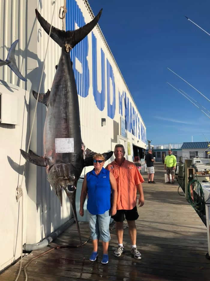 ��������������洬������������340�����ؽ������Ƶ