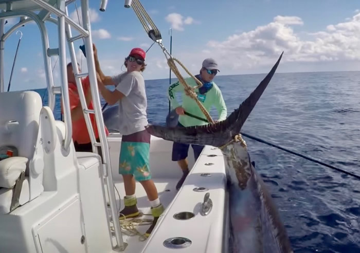 ��������������洬������������340�����ؽ������Ƶ