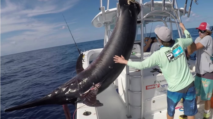 ��������������洬������������340�����ؽ������Ƶ