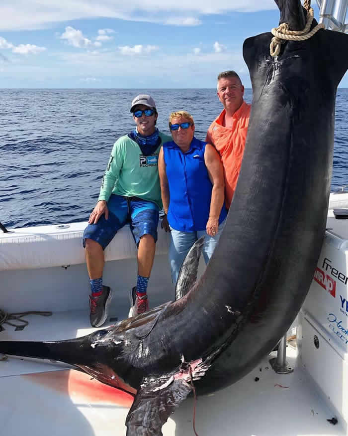 ��������������洬������������340�����ؽ������Ƶ