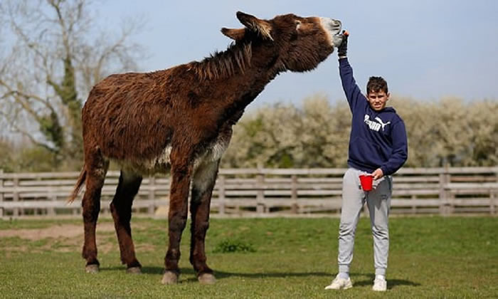 ��������������¿����Ӣ���ֿϿ���Ȼ�������ĵ����¿