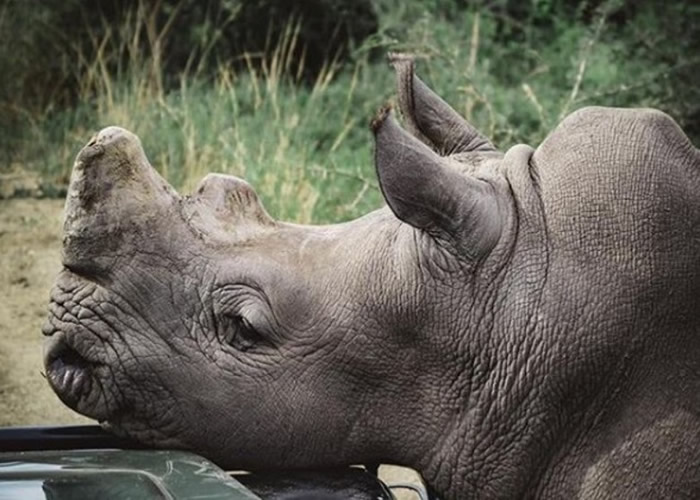 �Ϸǿ���³-������ʡ˽��Ұ������԰����Ϭţ���뷢���� ԰������ļ����Ů�ѡ�