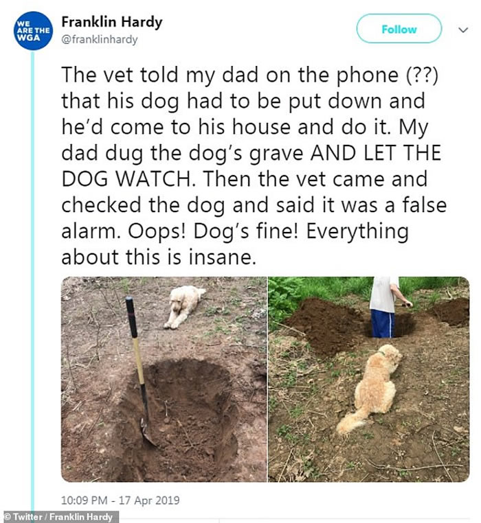 场面令人心碎：美国兽医误诊要安乐死 狗狗伏在旁看主人为自己挖坟