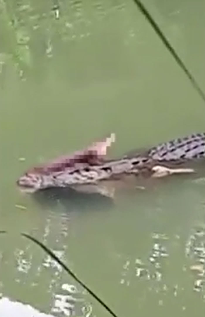 ӡ������������������ʳ������ں�����ʬ��