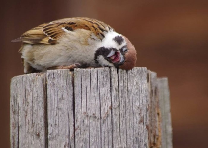 �ձ�������������ȸͷ�����ᡰ�����ϰࡱ���鱬��