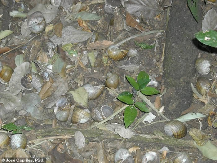 ����ά�Ƿ��ֹ����Ź� ��1����ǰ�������ඨ������ѷ����