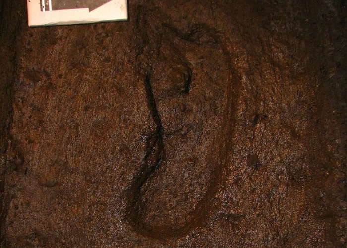 15600ǰӡʯ ֤ʱѾ޴½