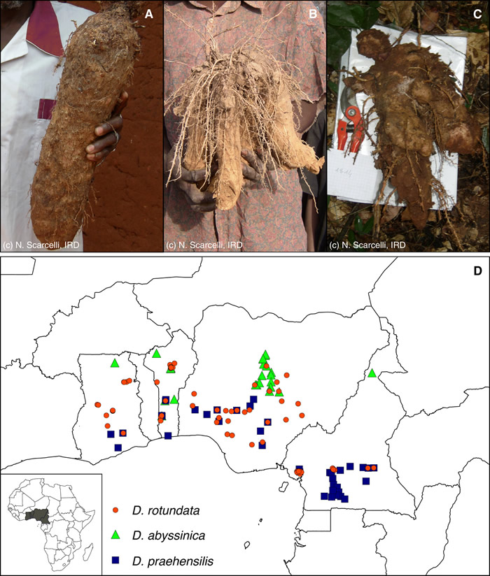 �����Ļ����������ʾ����ũ�����������ҡ��