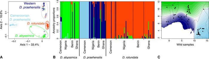 �����Ļ����������ʾ����ũ�����������ҡ��