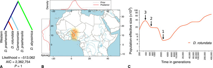 �����Ļ����������ʾ����ũ�����������ҡ��