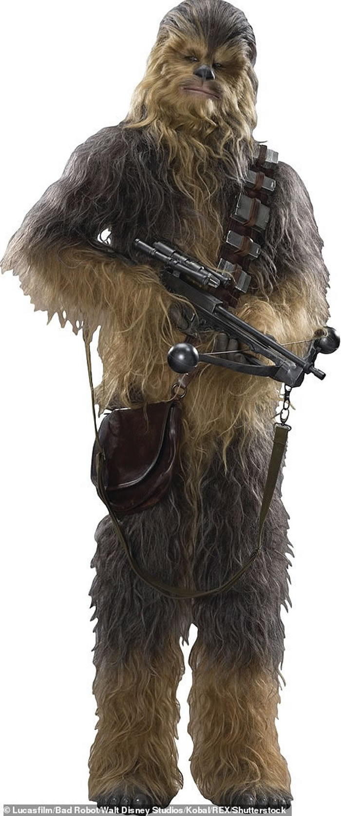 ���Ǽʴ�ս���еġ���Ϳ����˵�÷�ݣ�Peter Mayhew������������ ����74��