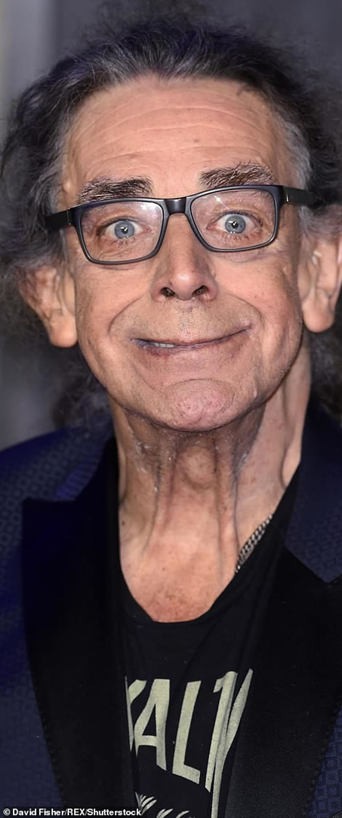 ���Ǽʴ�ս���еġ���Ϳ����˵�÷�ݣ�Peter Mayhew������������ ����74��