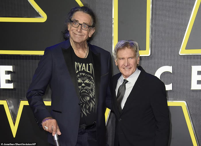 ���Ǽʴ�ս���еġ���Ϳ����˵�÷�ݣ�Peter Mayhew������������ ����74��