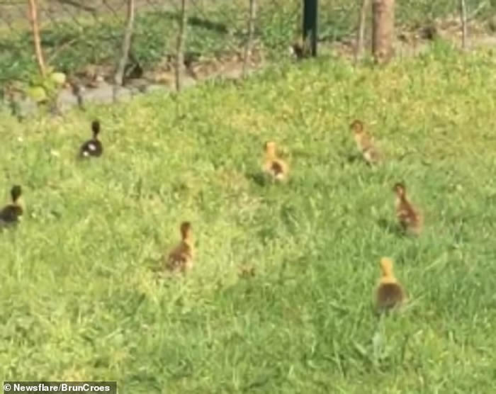 ����ʱ����ѻ��Ѽ������ǰ����Ѽ����