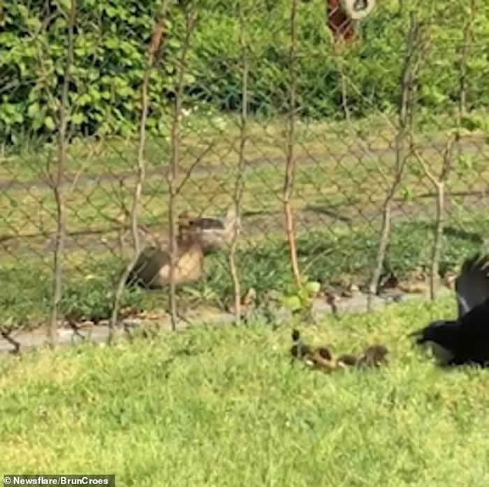 ����ʱ����ѻ��Ѽ������ǰ����Ѽ����