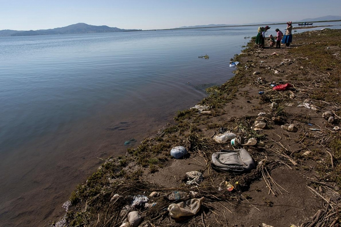 垃圾四处散布在的的喀喀湖岸,改变湖水酸度,经由皮肤皱褶吸收氧气的湖蛙会因此而受害。 PHOTOGRAPH BY RODRIGO ABD, AP