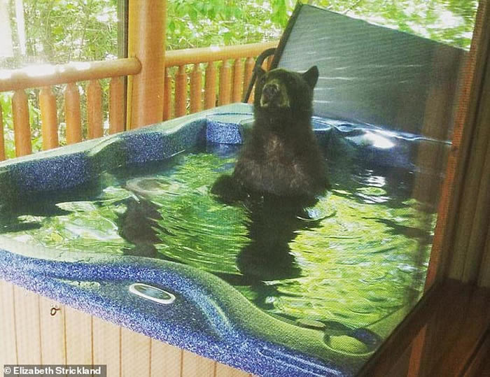 �����������ݺ��ܴ��ȼ�����ԡ��������