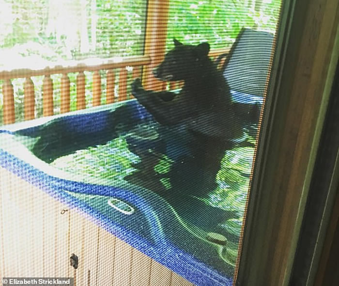 �����������ݺ��ܴ��ȼ�����ԡ��������