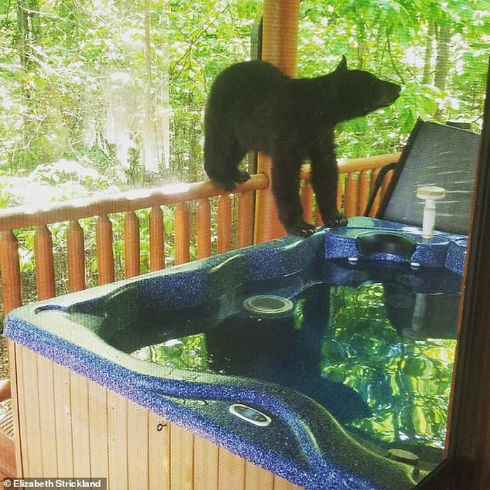 �����������ݺ��ܴ��ȼ�����ԡ��������