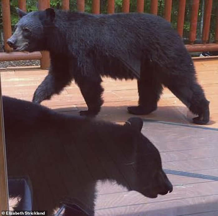 �����������ݺ��ܴ��ȼ�����ԡ��������