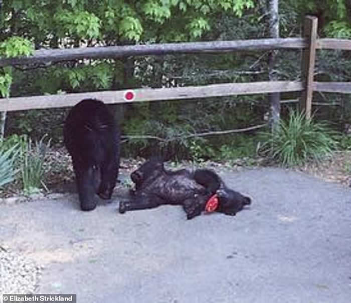 �����������ݺ��ܴ��ȼ�����ԡ��������