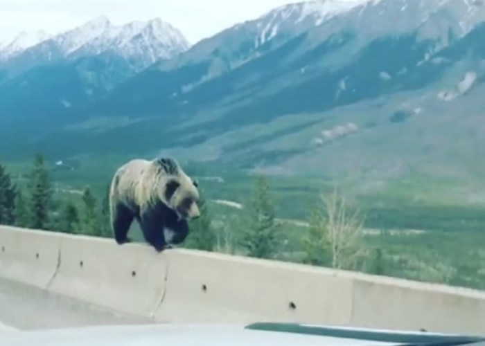 ô󰬲ʡܶ߹·ʯ ƽľ