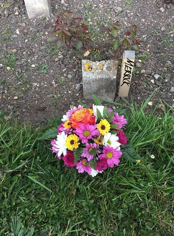 英国伦敦发现“象人”约瑟夫·梅里克Joseph Merrick墓地 病因至今没有定论